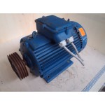 37 KW  3000 RPM As 55 mm  ROTOR  Gebruikt